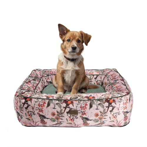 bo&flash Kuscheliges Hundebett Groß – Trendiges Hundekörbchen Boise – Hundesofa Gelenkschonend und Waschbar für Kleine Hunde – M 60 X 70 X 20 cm – Quadratisch mit Rand – Simone von bo&flash