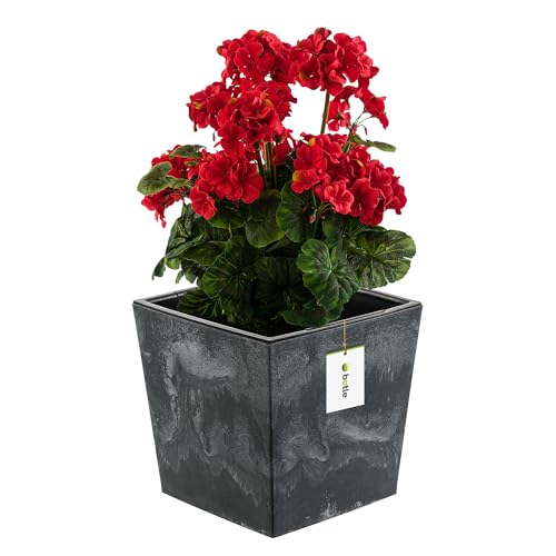 Blumentopf Blumenkübel 19 L mit Einsatz 14 L Beton-Optik H 29 cm Blumentopf aus Kunststoff Pflanzkübel übertopf Quadrat Beton-struktur Anthrazit Farbe Fürinnen/Aussen Bereiche Garten Patio Wohnzimmer von botle