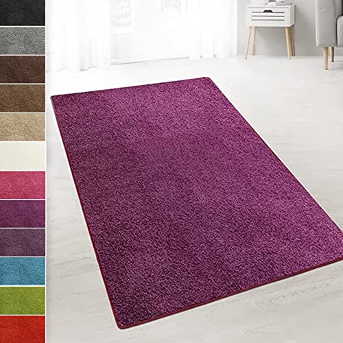 casa pura Teppich Wohnzimmer Berry Flauschiger Teppich 66x250cm Läufer, weicher Wohnteppich Deko für Schlafzimmer, Kinderzimmer, Flur mit antirutsch Unterseite, Shaggy Hochfloor Barcelona von casa pura