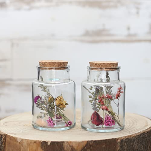 comforder Trockenblumen im Glas mit Korken 2er Set, getrocknete Blumen-Deko in breitem Glas (klein/bunt) von comforder