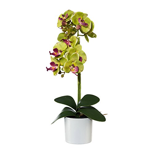 Kunstblume PHALENOPSIS (Orchidee) mit 2 Trieben im KERAMIKTOPF. Ca 45 cm. GRÜN-ROT -57. von creativ home