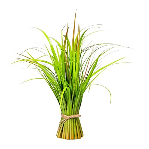 creativ home Kunstpflanze MISCANTHUS Grasbund, Grasbusch ca 55 cm. Stehgras-Bündel. Dekogras, Chinaschilf Chinagras. 3319679-50 von creativ home