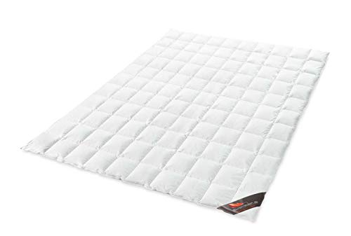 daunen-federn.de Sommerbettdecke 200x220 Premium: 100% natürliche Materialien, atmungsaktiv, Allergiker geeignet, 100% luftige Baumwolle, 100% Daunen Qualität Klasse 1 Made in Germany von daunen-federn.de