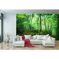 Baum Wald Trail Natur Pflanzen Grün Dschungel Tapete Wandbild Foto Raum Poster Wandbedeckung, Wanddekoration von decalsst