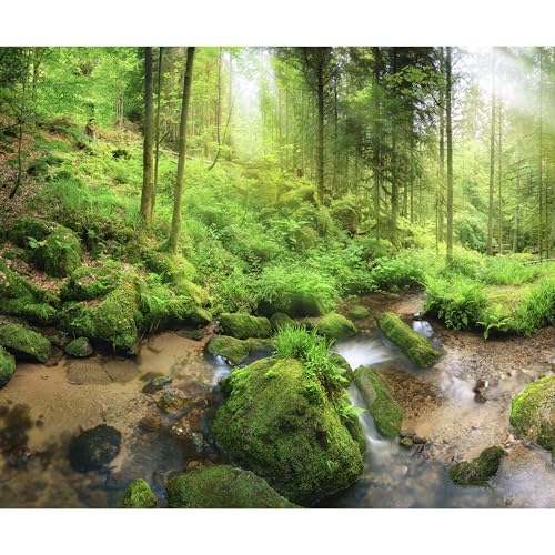 decomonkey Fototapete selbstklebend Wald 343x256 cm XL Selbstklebende Tapeten Wand Fototapeten Tapete Wandtapete klebend Klebefolie Natur Landschaft von decomonkey