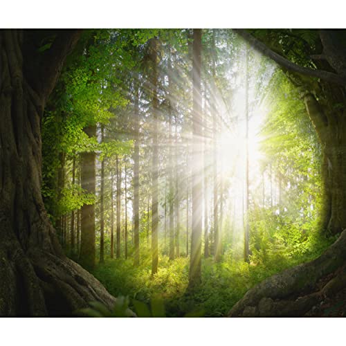 decomonkey Fototapete selbstklebend Wald 392x280 cm Selbstklebende Tapeten Wand Fototapeten Tapete Wandtapete klebend Klebefolie Landschaft Natur Baum Sonne von decomonkey