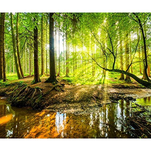 decomonkey Fototapete selbstklebend Wald 3D 196x140 cm Selbstklebende Tapeten Wand Fototapeten Tapete Wandtapete klebend Klebefolie Natur Landschaft Baum von decomonkey