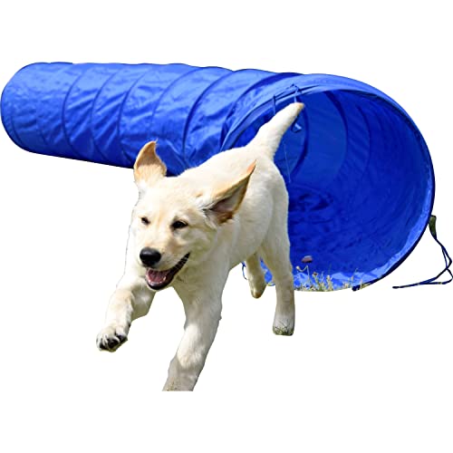 dobar® 50809 Agility Tunnel Gr. L - Agility-Tunnel für Hunde - 3 m Tunnel zum Trainieren - Geschicklichkeits-Training mit Kunststofftunnel - Ø 50 cm - Länge: 300 cm - Blau von dobar