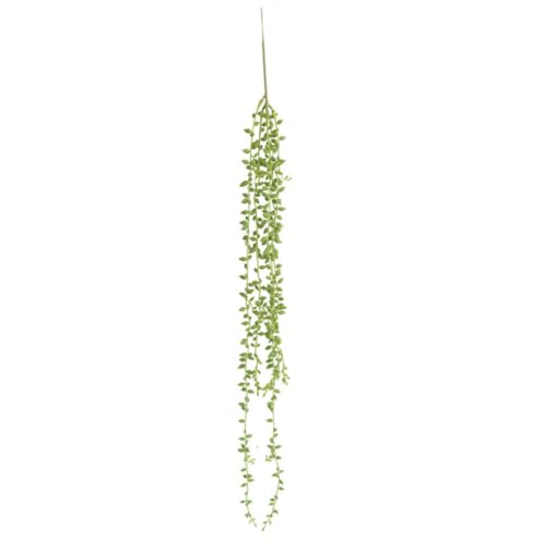 dsbdrki Falsche hängende saftige Pflanze realistische hängende Sukkulente künstliche hängende saftige Pflanzen Wanddekoration Reben Grün grün von dsbdrki