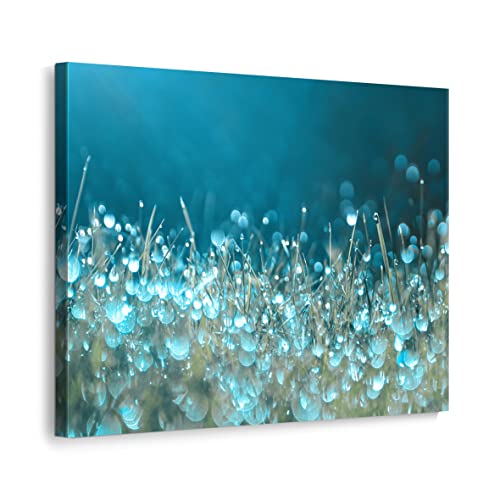 ecowalls Bilder Natur - 50x40 cm - Vlies Leinwandbild - Leinwand Bilder - Wandbilder Wohnzimmer, Schlafzimmer Modern - Wandbild XXL - Bilder Wohnzimmer, Schlafzimmer von ecowalls