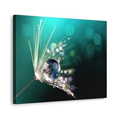 ecowalls Bilder Natur - 50x40 cm - Vlies Leinwandbild - Leinwand Bilder - Wandbilder Wohnzimmer, Schlafzimmer Modern - Wandbild XXL - Bilder Wohnzimmer, Schlafzimmer von ecowalls