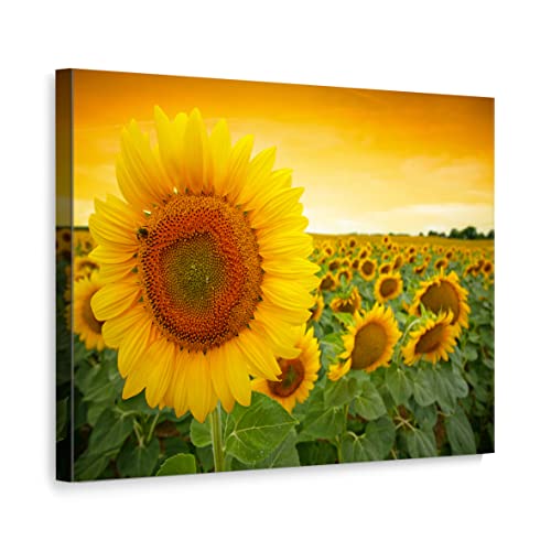 ecowalls Sonnenblumenbilder - Sonnenblumen Bild - 50x40 cm - Vlies Leinwandbild - Leinwand Bilder - Wandbilder Wohnzimmer, Schlafzimmer Modern - Wandbild XXL - Bilder Wohnzimmer, Schlafzimmer von ecowalls