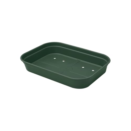 elho Green Basics Anzucht Schale 36 - Zubehör für Züchten und Ernten - Ø 36.0 x H 6.3 cm - Grün/Laubgrün von elho