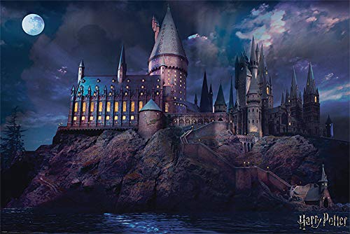 Harry Potter - Hogwarts - Schloss - Film Kino Movie Plakat Poster Druck - Größe 91,5x61 cm + 1 Ü-Poster der Grösse 61x91,5cm von empireposter