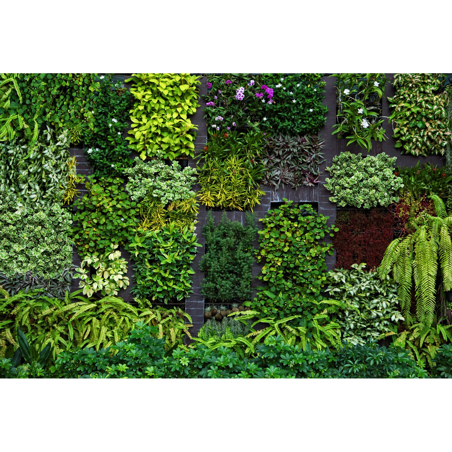 Erismann Fototapete Vlies Hanging Garden Grün 400 cm x 270 cm von erismann
