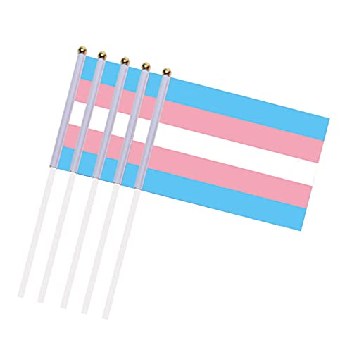 10er-Pack Regenbogen-Gay-Pride-Set, 1,5 m × 0,9 m Fuß Mini-Flagge, Regenbogen-Banner, Pride-Flagge,Regenbogen-Pride-Handflagge, LGBTQ-Regenbogenflaggen für Garten, Terrasse, Rasen, Vorgarten von fanelod