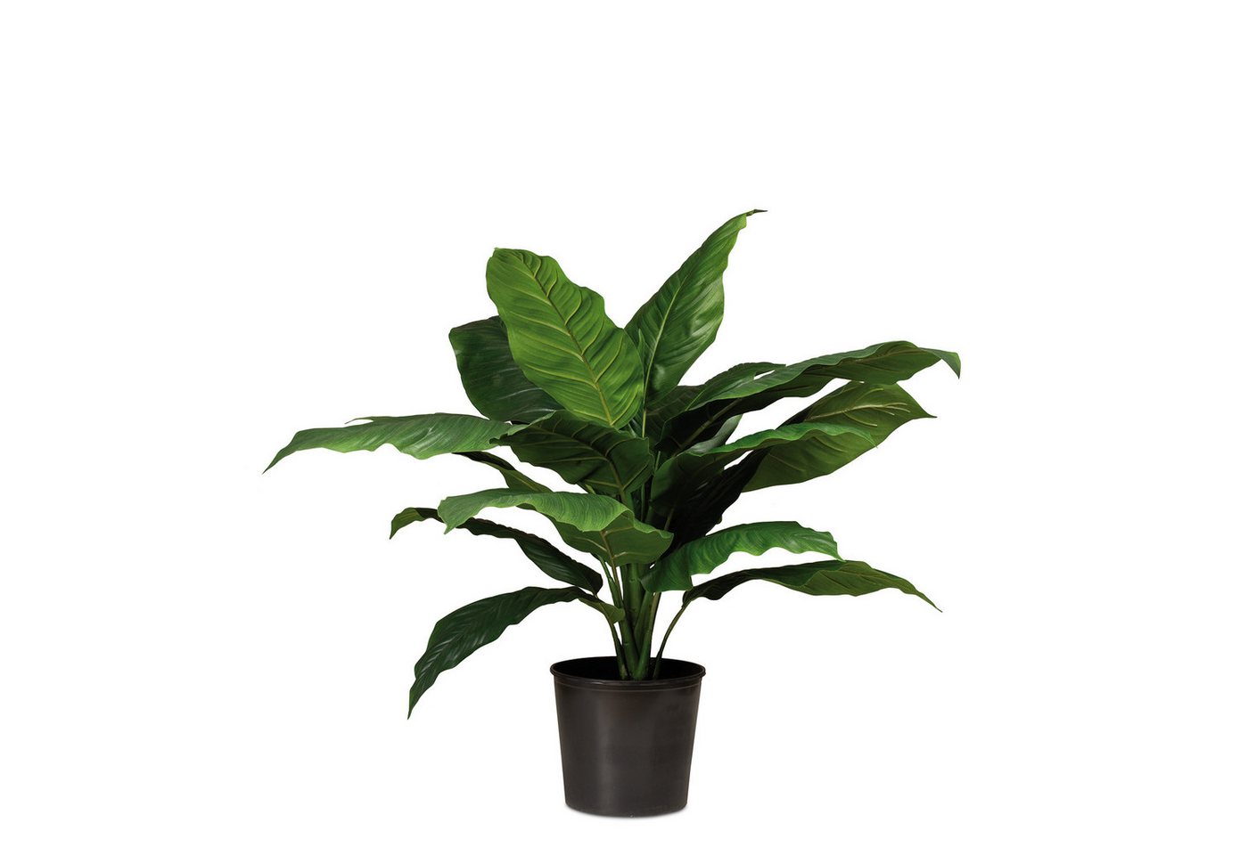 Kunstpflanze Einblatt - Spathiphyllum Kunstpflanze, 90 cm, fleur ami, Höhe 90 cm von fleur ami