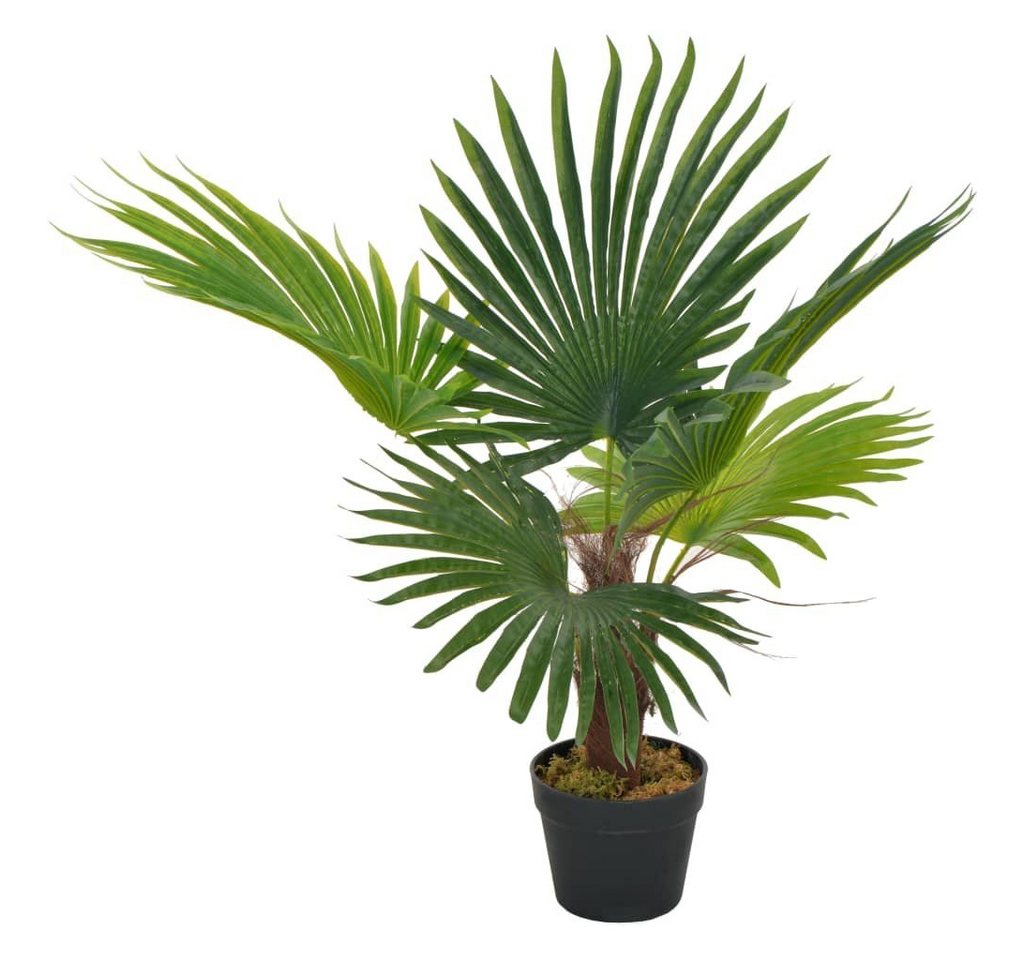 Kunstpflanze Künstliche Pflanze Palme mit Topf Grün 70 cm, furnicato, Höhe 70 cm von furnicato