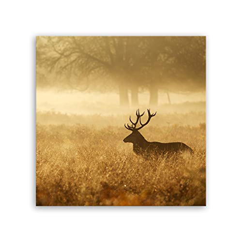 ge Bildet Bild auf Leinwand | Hirsch in der Natur in 70x70 cm als Wandbild | Wand-deko Dekoration Wohnung modern Bilder | 1259 von ge Bildet