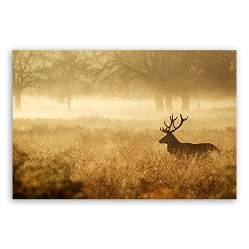 ge Bildet Bild auf Leinwand | Landschaftsbilder - Hirsch in der Natur N in 120x80 cm als Wandbild XXL | Wand-deko Dekoration Wohnung modern Bilder | 2212 von ge Bildet