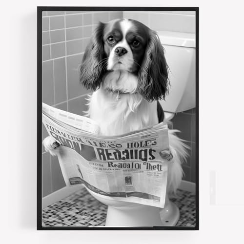 gfc Lustiges Badezimmer-WC-Poster mit Tierdruck, Motiv: König Charles, Cavalier Spaniel, Hund auf einer Toilette, Zeitung, A4, ungerahmt, Wandkunst, Heimdekoration, Dekoration von gfc