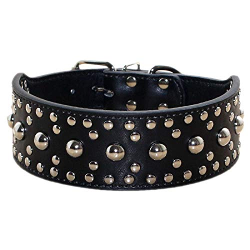 haoyueer Unisex Hundehalsband, Leder, mit Nieten, mittelgroß, für Pitbull Dobermann, Größen M L (L, Schwarz) von haoyueer