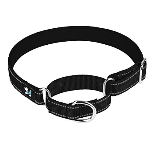 haoyueer Verstellbares Martingale Sicherheitstraining-Hundehalsband, weiches Neopren gepolstertes, atmungsaktives Nylon-Haustierhalsband für kleine, mittelgroße und große Hunde (S, schwarz) von haoyueer