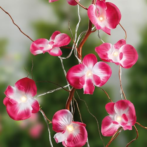 hellum LED Lichterkette innen mit rosa Orchideen, 10 LED warmweiß mit 1,35m Länge, LED Lichterkette mit Batterie, Lichterkette Blumen, Dekoration 300178 von hellum