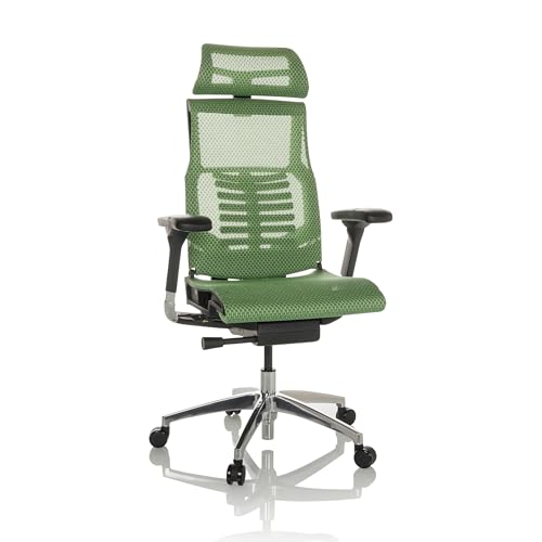 hjh OFFICE Profi Bürostuhl POFIT GEN2 Netz ergonomischer Drehstuhl mit Flexibler Lordosenstütze, Grün, 652286 hjh OFFICE Profi Bürostuhl POFIT GEN2 Netz ergonomischer Drehstuhl mit Flexibler Lordosenstütze, Grün, 652286 von hjh OFFICE