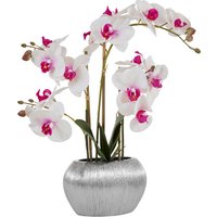 Home affaire Kunstpflanze "Orchidee", Kunstorchidee, im Topf von home affaire