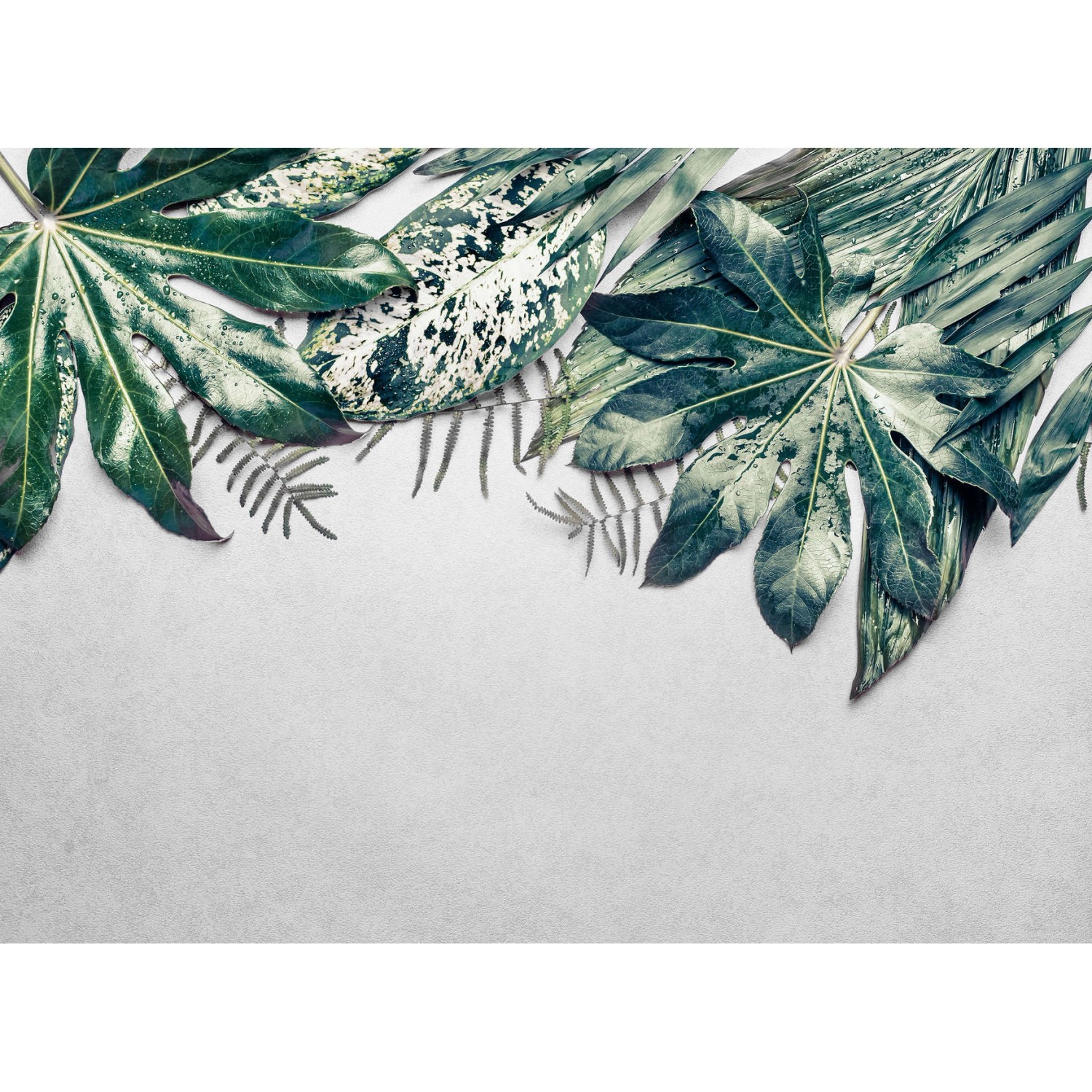 Fototapete Blätter Palmen Grün Grau 3,50 m x 2,55 m FSC® von -