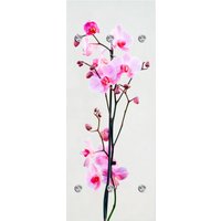 queence Garderobenleiste "Orchidee", mit 6 Haken, 50 x 120 cm von Queence