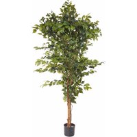 Creativ green Kunstpflanze "Ficus Benjamini" von Creativ Green