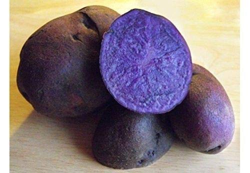 Portal Cool Potatoe Seeds Purple Majesty Lila Kartoffeln Ukraine 10 Samen von Portal Cool