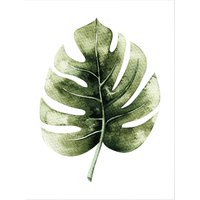 Wall-Art Poster "Kvilis Dschungel Monstera Pflanze", Schriftzug, Poster ohne Bilderrahmen von Wall-Art