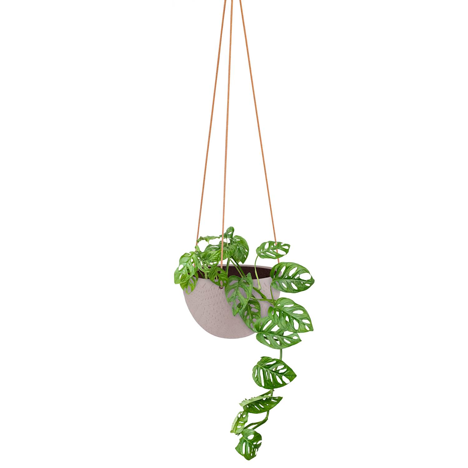 home24 Blumentopf Okai 15 x 10 x 15cm Braun/Hellbraun home24 Blumentopf Okai 15 x 10 x 15cm Braun/Hellbraun von home24