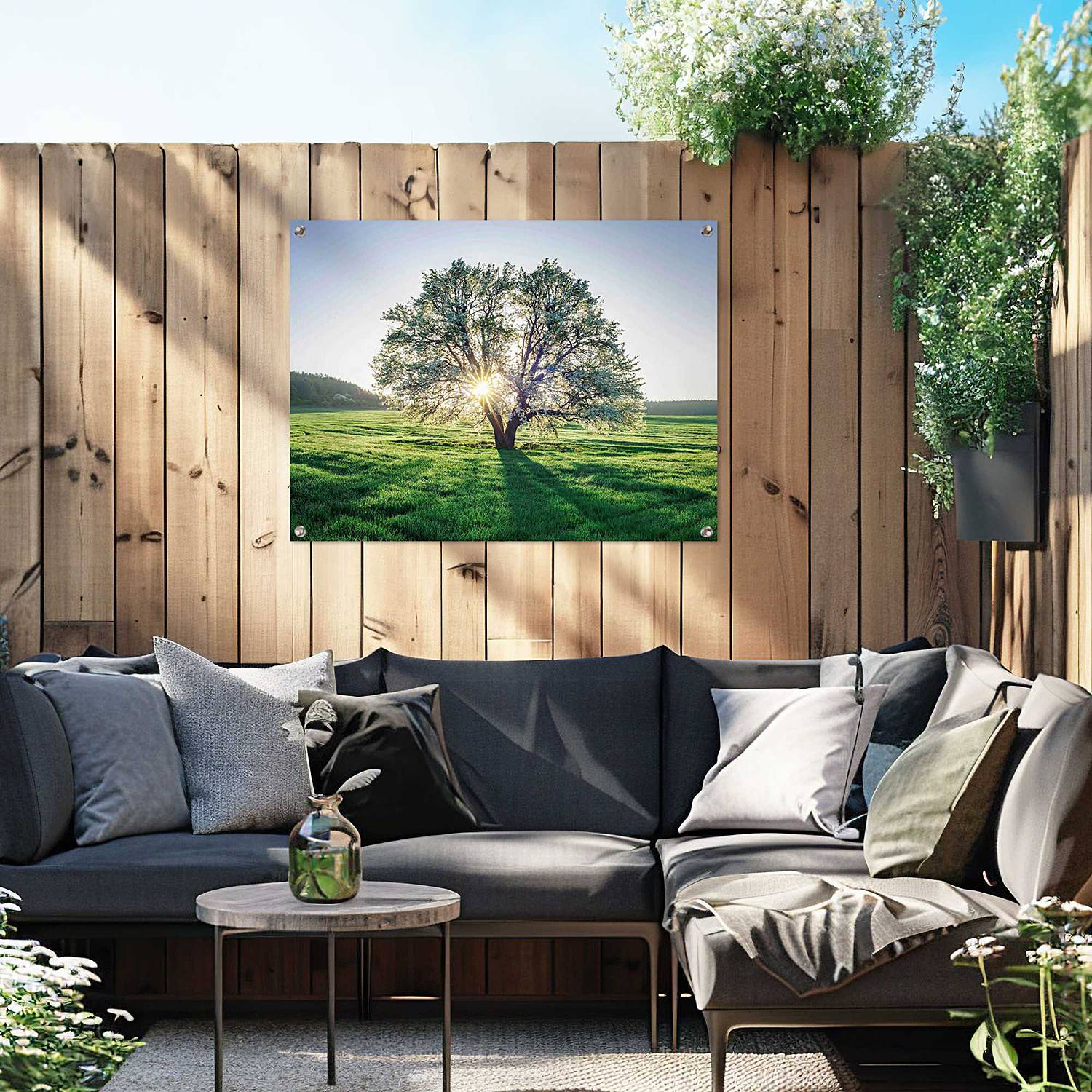 home24 Kunstdruck Baum in der Morgensonne PVC Grün/Grün 60 x 80 x 0cm home24 Kunstdruck Baum in der Morgensonne PVC Grün/Grün 60 x 80 x 0cm von home24