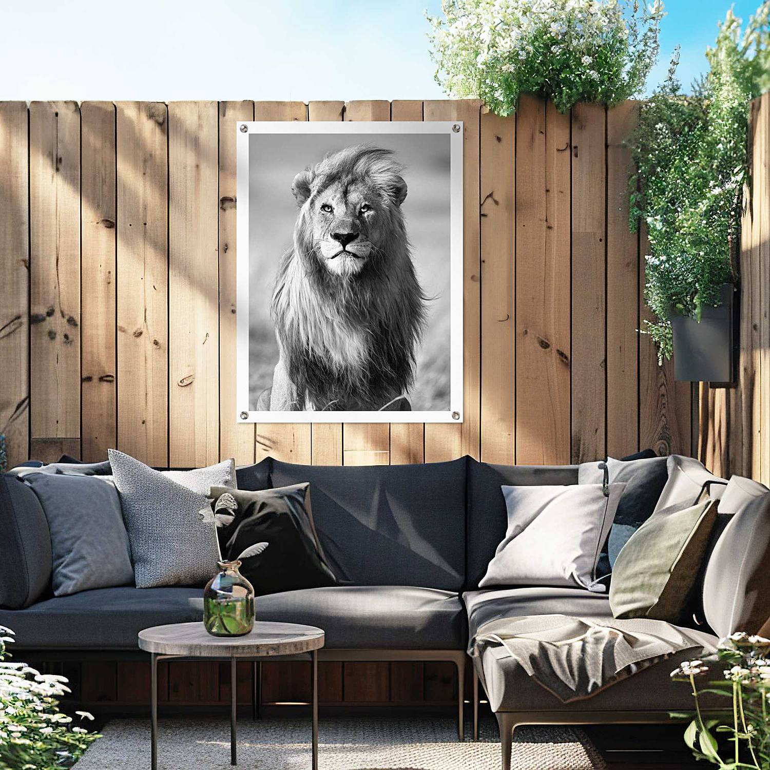 home24 Kunstdruck Löwe PVC Schwarz/Schwarz 60 x 80 x 0cm home24 Kunstdruck Löwe PVC Schwarz/Schwarz 60 x 80 x 0cm von home24