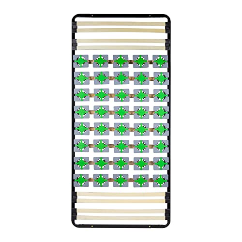 i-flair Tellerlattenrost 100x200 cm, Lattenrahmen Ergo IF56 mit Tellerfedern - für alle Matratzen und Betten geeignet von i-flair