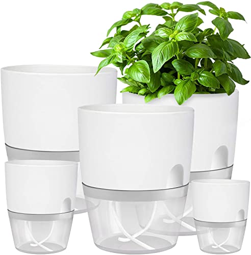 iDattel Blumentopf Mit Bewässerungssystem,Kräutertopf Küche Set Fensterbank selbstbewässernd-5er Set Kräutergarten für die Küche,15.3/10.5/8.2cm, für frische Küchenkräuter, Weiß von iDattel