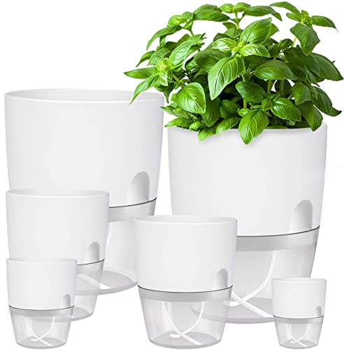 iDattel Blumentopf Mit Bewässerungssystem,Kräutertopf Küche Set Fensterbank selbstbewässernd-6er Set Kräutergarten für die Küche,23.5/15.3/10.5/8.2cm, für frische Küchenkräuter, Weiß von iDattel