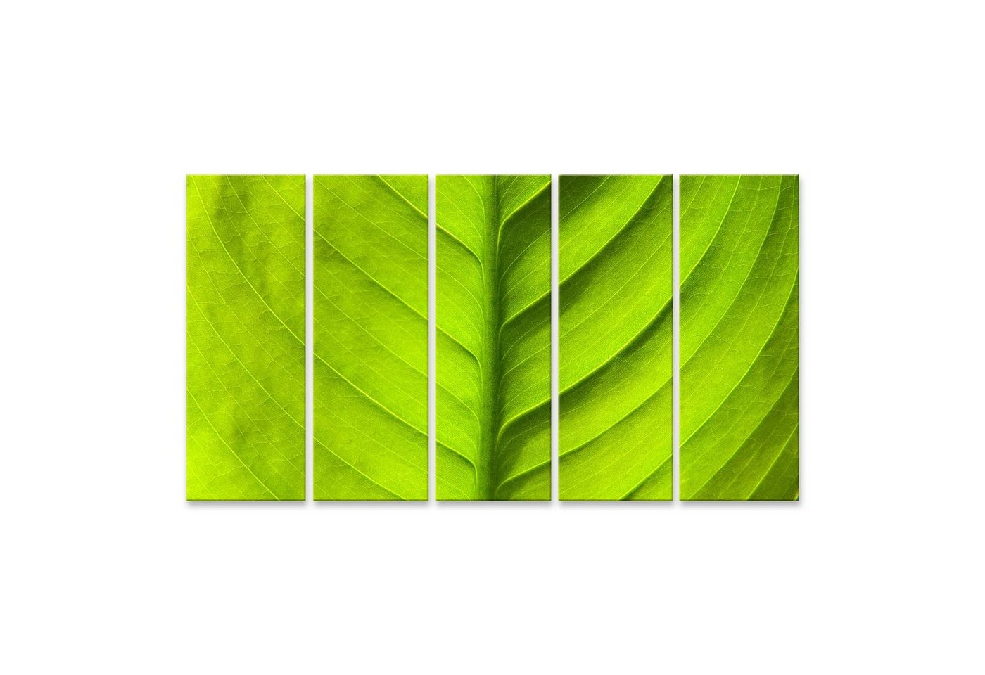 islandburner Leinwandbild Bild auf Leinwand Green Leaf Natur Hintergrund Wandbild Poster Kunstdr von islandburner