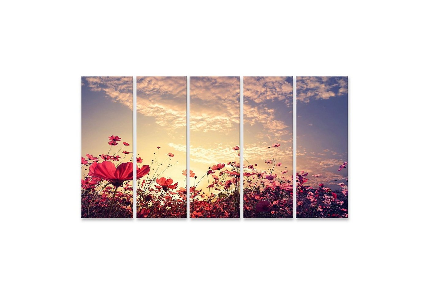 islandburner Leinwandbild Bild auf Leinwand Landschaft Natur Hintergrund der schönen rosa und ro von islandburner