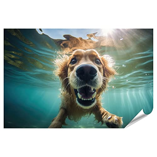 islandburner XXL Bild Poster Unterwasser lustiges Foto Hund tauchen tief unten Sommerurlaub Haustier Nahaufna Premium Bilder Fotodruck IZKO-PKL von islandburner