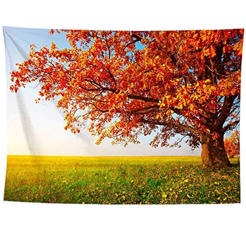 izielad Herbst rote Blätter Ahorn Wandbehang Wandteppich für Schlafzimmer Wohnzimmer Wohnheim 180X230CM 70.8X90.5IN von izielad