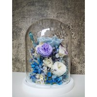 Rjd Blossomore Konservierte Blume Glaskuppel/Ewige Rosen/ Rosen/Konservierte Blumen/Ewige Blume/Ewige Rosen in Glaskuppel/Geschenk von kearfaly