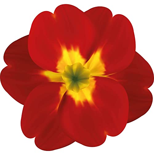 Kleberio Aufkleber Primel rot gelb Sticker Autoaufkleber wasserfest Blumen Mülltonne Blumenwiese Dekoration selbstklebend Fensterbild Fliesenaufkleber für Kinder und Erwachsene 9 x 10 cm von kleberio