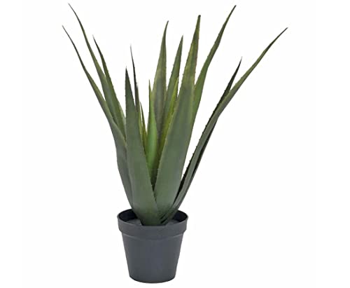 Künstliche Aloe Vera Pflanze, Kunstpflanze mit 18 Kunststoff Blätter im dekorativen Topf, Höhe ca. 56 cm von kunstpflanzen-discount.com