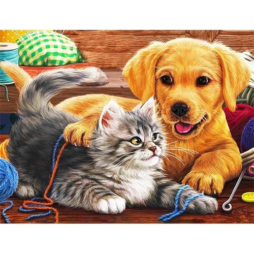 5D DIY Diamond Painting Kits Vollbohrer, Hund Katze Diamant Kunst Handwerk Bild Kit, Leinwand Kreuzstich Stickerei Nach Zahlen Painting Zubehör für Erwachsene, Wand, Wohnkultur 30x40cm Q-1211 von lewwmn