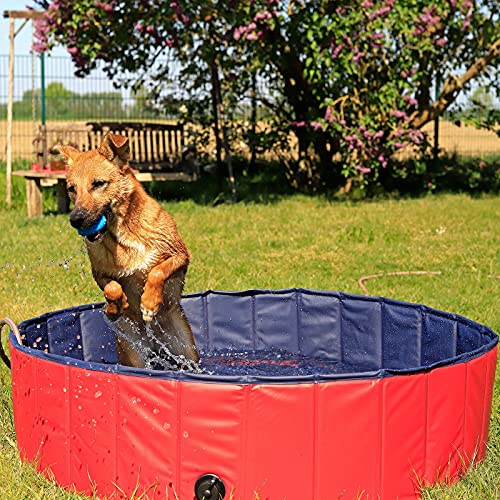 lionto Hundepool faltbar aus kratzfestem PVC-Material, Ø 80 cm, Höhe 20 cm, Anti-Rutsch-Belag & Abflussstopfen für schnelle Entleerung, Keine Pumpe benötigt, robuster Kinderpool, blau/rot von lionto